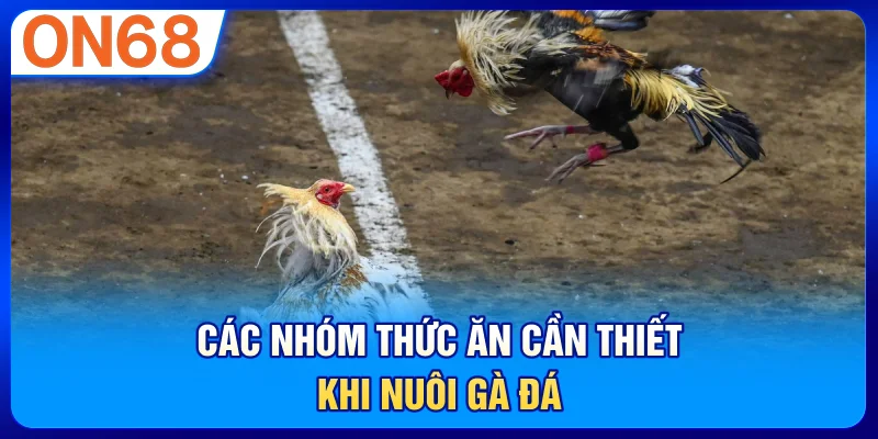 Các nhóm thức ăn cần thiết khi nuôi gà đá