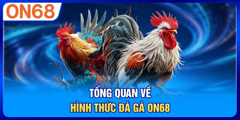 Tổng quan về hình thức đá gà ON68